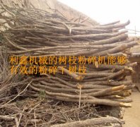 粉碎樹枝就用樹枝粉碎機(jī)